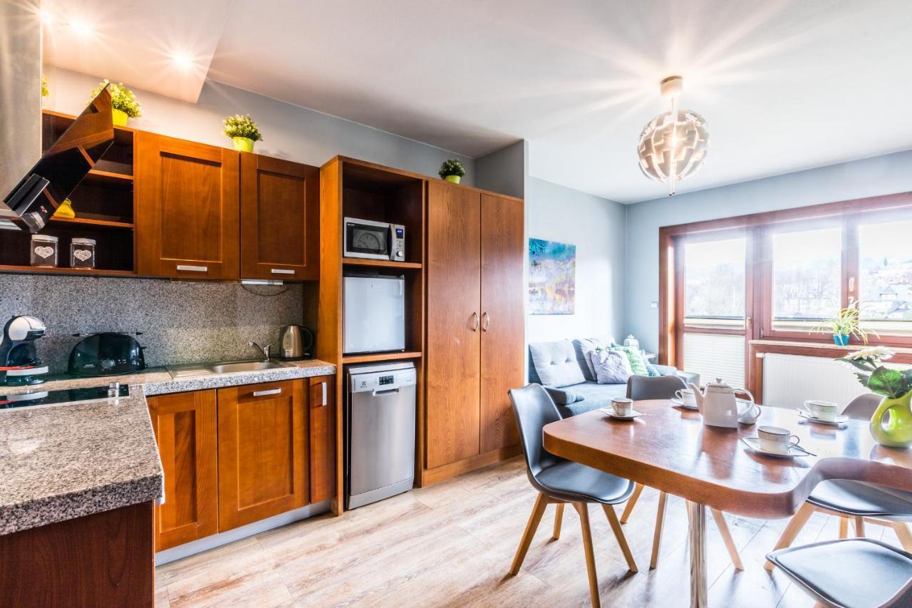 Apartament Srebrzysty Tatary Zakopane Dış mekan fotoğraf