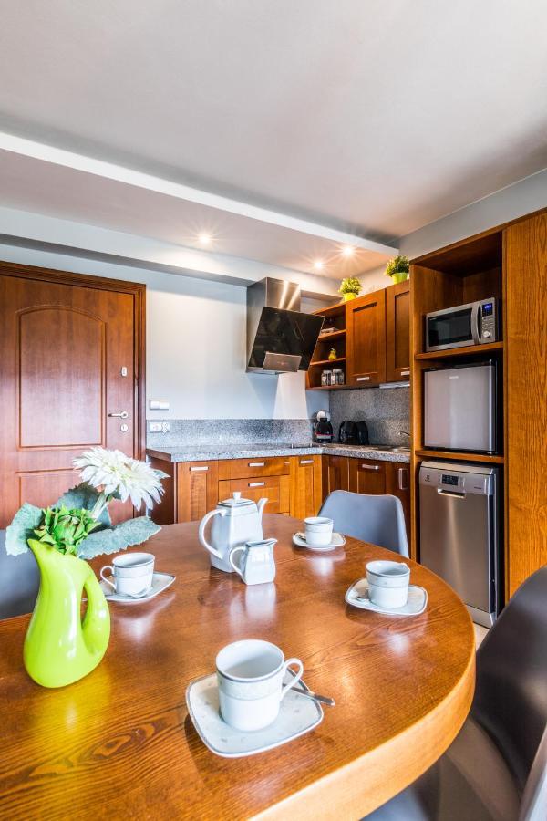 Apartament Srebrzysty Tatary Zakopane Dış mekan fotoğraf