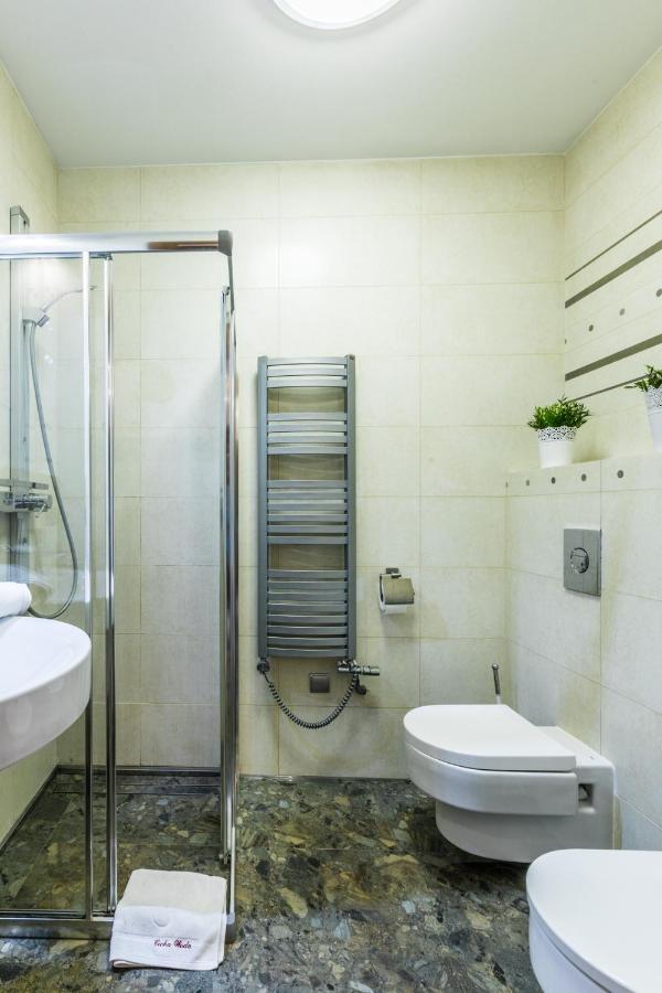 Apartament Srebrzysty Tatary Zakopane Dış mekan fotoğraf